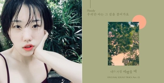 플루디 이미지