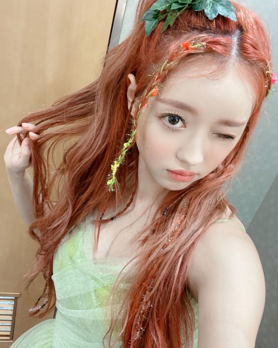 미라클숲 이미지