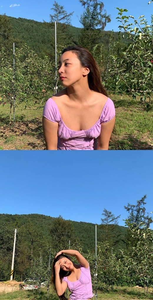 연보라 이미지