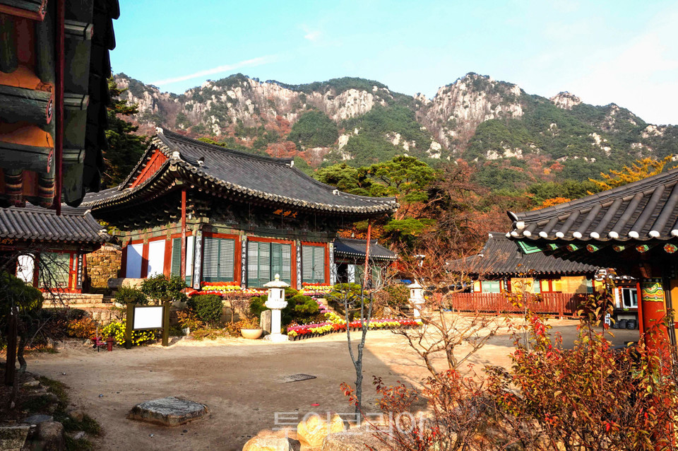 토끼봉산장 이미지