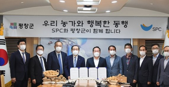 강원감자농협조합공동사업법인 이미지