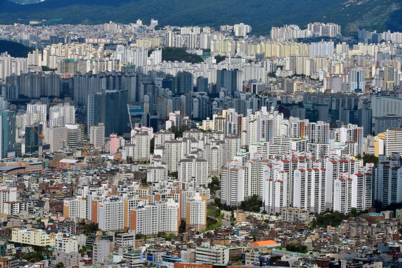 세무법인이도 이미지