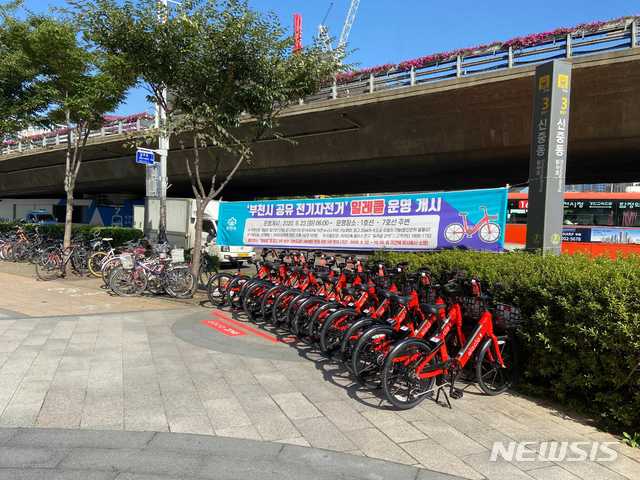 일레클 이미지
