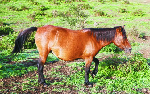 이원축산 이미지