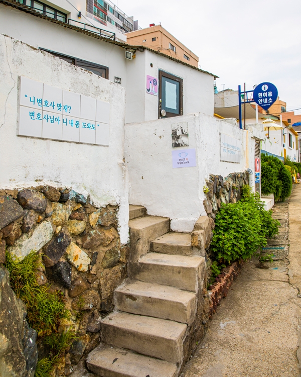 OLD-NEW 이미지
