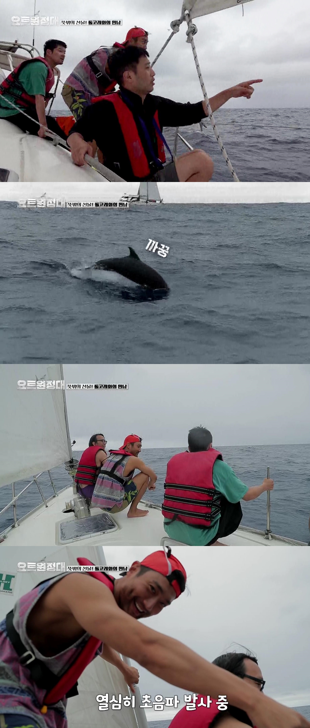 In Yot Expedition is the net Sea, it faces Dolphins.In the 7th episode of MBC Everlons Yacht Expedition, which will be broadcast on September 28, Jingu - Choi Siwon - Jang Gi Ha - Song Ho-joon, who starts a peaceful day again after an unexpected return decision, is drawn.The strong winds that have been swirling have disappeared and the members of the yachts enjoying the calm Sea as if they were at that time are expected to provide a different healing.In the meantime, the Yacht Expedition received an unexpected gift from the Sea: a cute bunch of Dolphins came to the side of the Yacht Expedition.The Dolphins that appeared on the deep blue waves are not one, but several, and they have produced spectacular views over the Sea.The members of the Dolphins who escorted the yacht expedition and moved together said that they could not shut up with the Wow and the Great stretching.The Dolphins reached out to reach and made the crew into concentricity.In particular, Choi Siwon, the youngest, whistled and tried to communicate with Dolphins, attracting attention with a playful Boy.Choi Siwon is said to have fallen into the shape of Dolphins swimming in the Sea with a white spray for a while.The Sea, which had been terrorized by threatening waves, made the crew laugh with a ecstatic gift as if comforting the yacht expedition.What was the voyage with the Dolphins that left unforgettable memories to the crew, and the wonder of Mother Nature adds to the expectation of the voyage of the Yacht Expedition.MBC Everlon Yot Expedition is broadcast every Monday at 8:30 pm.iMBC  MBC Everlon Screen Capture
