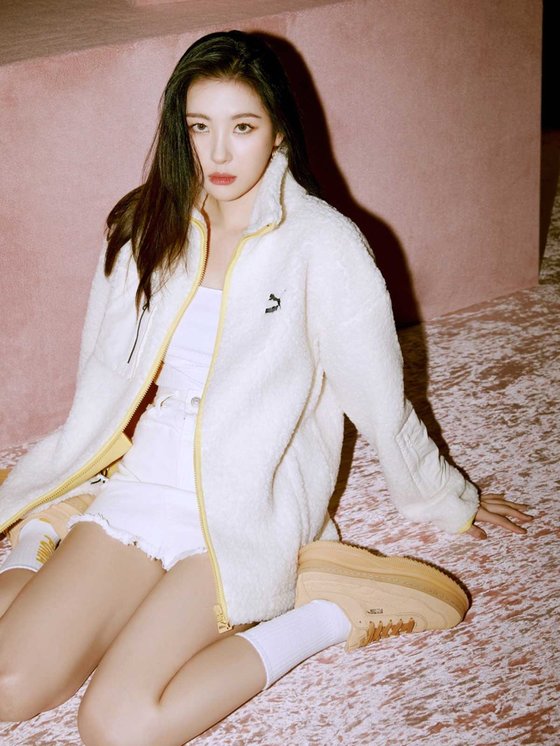 선미네 이미지
