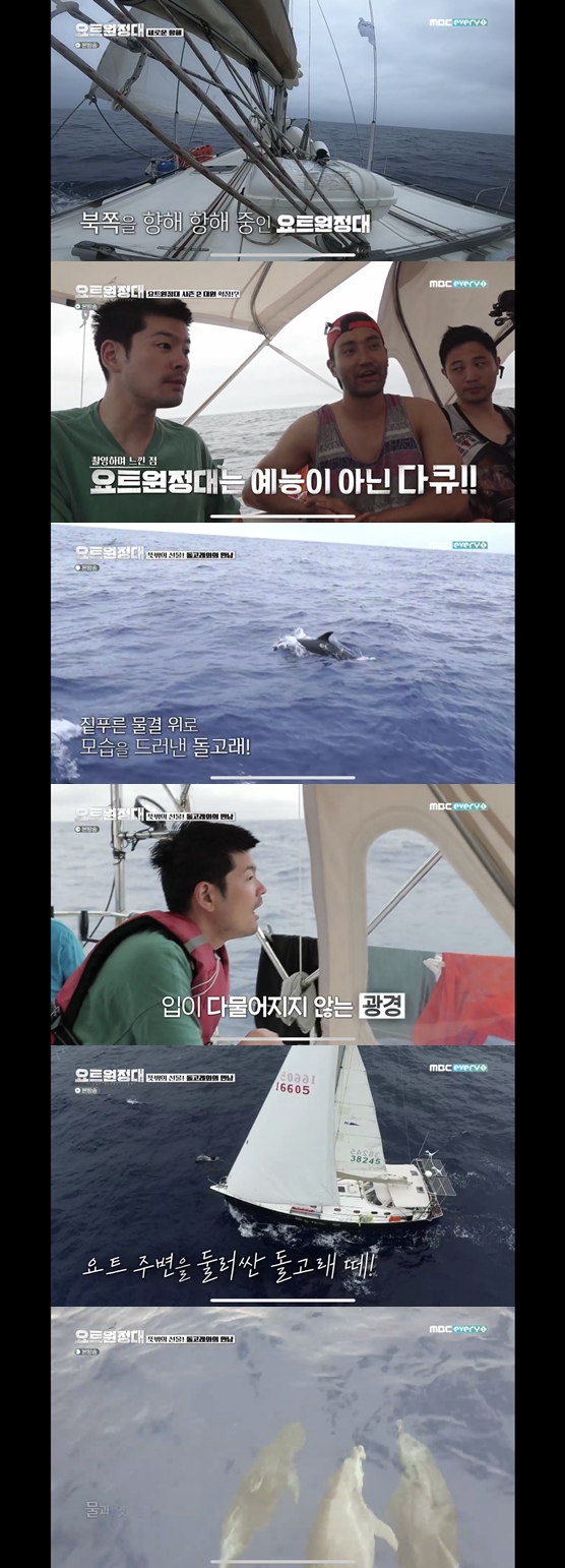 A swarm of Dolphin surrounded the yacht, which was carried by members of the yacht Expedition.MBC Everlon yacht Expedition broadcast on the 28th decided to return to the day after the day of the expedition to the calm daily life was included.How will our yacht expedition come out, said Choi Siwon, who said: I think only those with room in their hearts can sail.Chang Kiha said, We have room today.The expeditionaries recalled the last voyage, which had been constantly under heavy waves, but the sea became as silent as a lie, and they realized that they had to sail three more days to Jeju Island.Chang Kiha said, I am comfortable right now, but I am worried about how to go so slowly.Were more like documentary than entertainment, said Choi Siwon, adding that Chang Kiha is a documentary with a real story when you look at it.The expedition members met Dolphin on the sea on the day.The expedition crews could not shut up when they saw a Dolphin, but Dolphin was not one; a swarm of Dolphin surrounded the yacht.The crew who saw Dolphin from close enough to reach out from above yacht shouted like a child.Choi Siwon whistles to want to interact with DolphinsSong Ho-joon thanked them for they came to us. They were once again in love with the wonder of Mother Nature.Its so different from the rain that was down like a typhoon yesterday, Chang Kiha said.