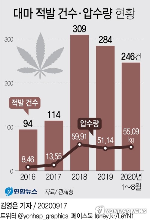 대마기획 이미지