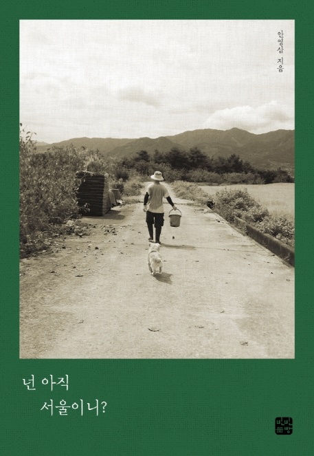 더 리얼 서울 이미지