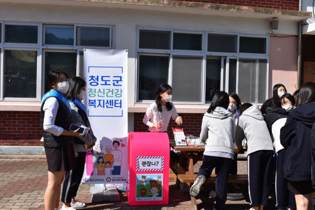 성장 이미지
