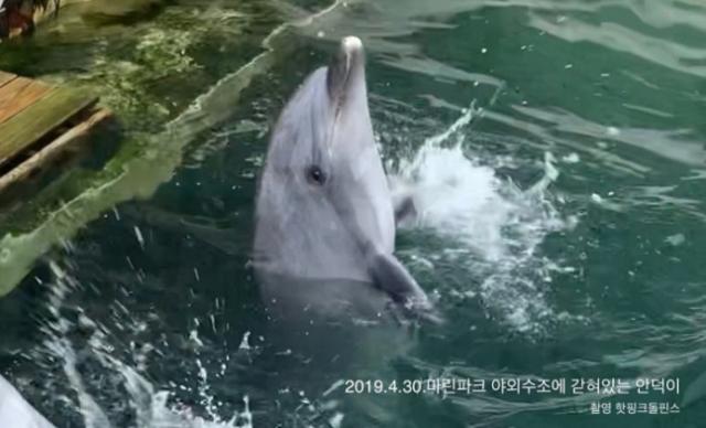 안덕의원 이미지