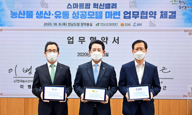 팜밸리 이미지