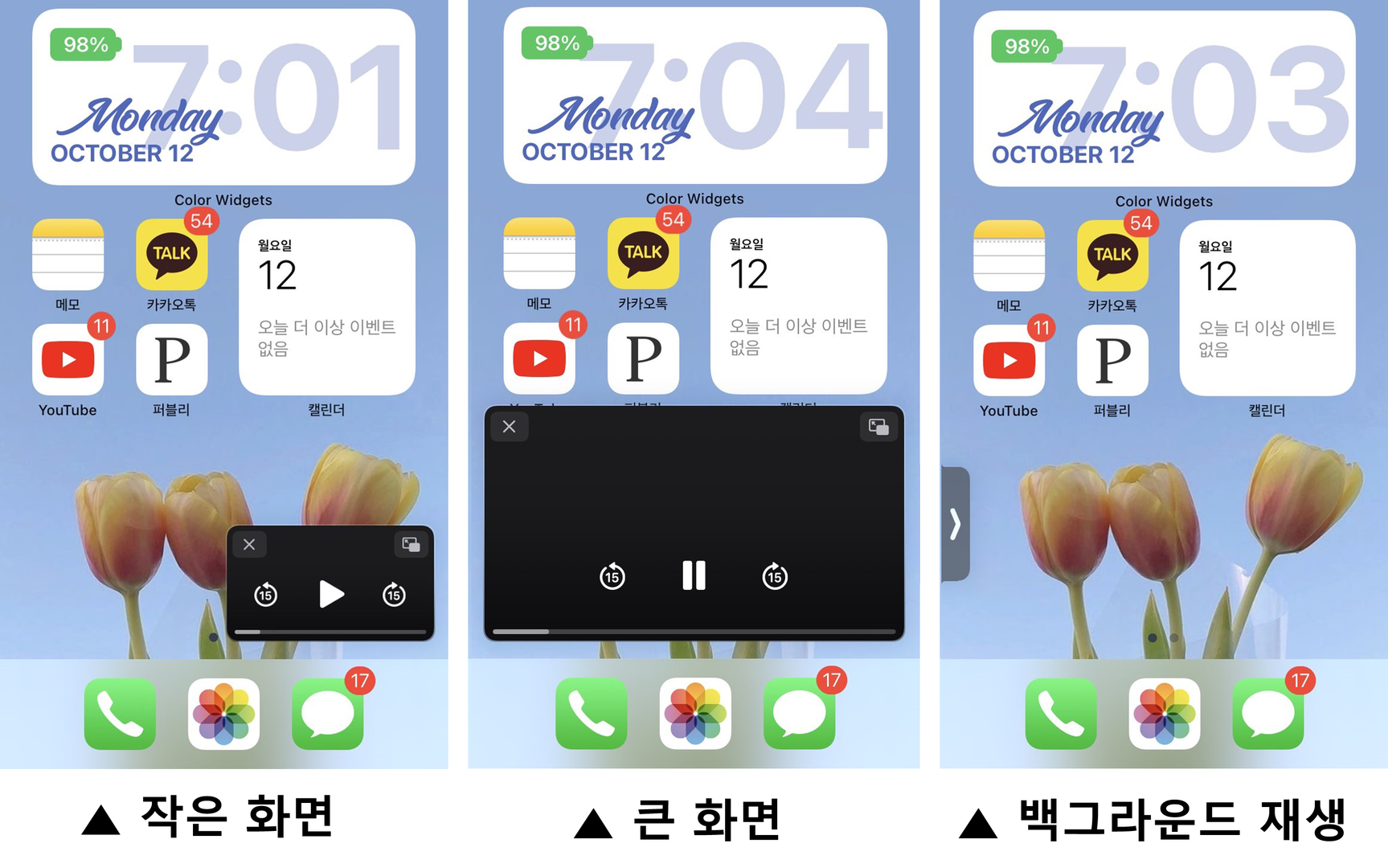 [iOS 14 새 기능 활용하기] 3부: 한 화면을 두개처럼? 아이폰 '화면 속 화면(PIP)' 기능