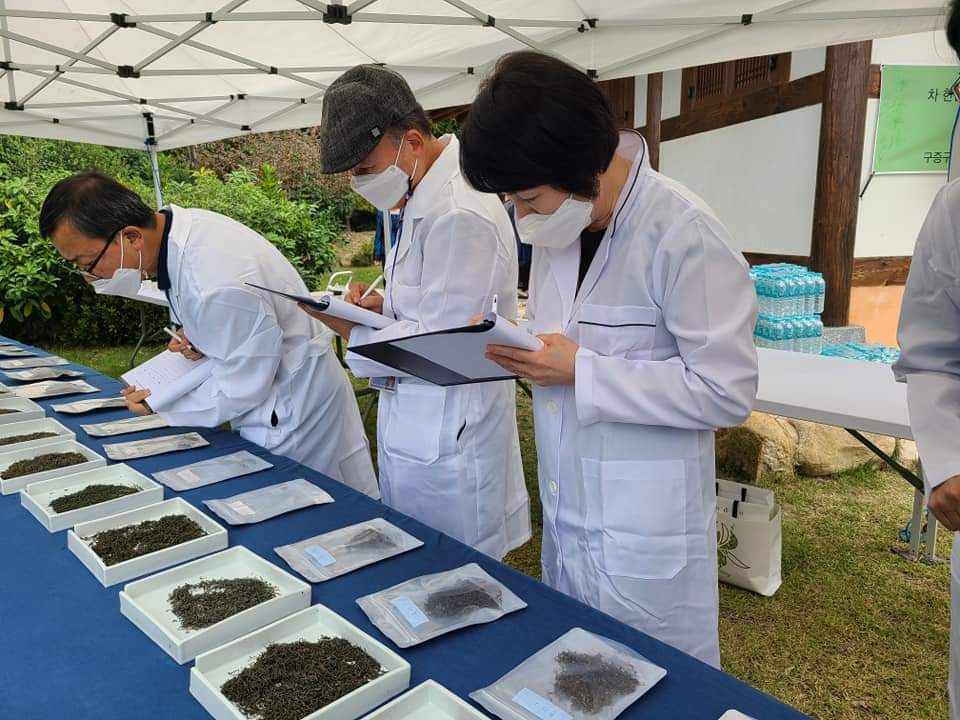 (사)고려천태국제선차 연구보존회 이미지