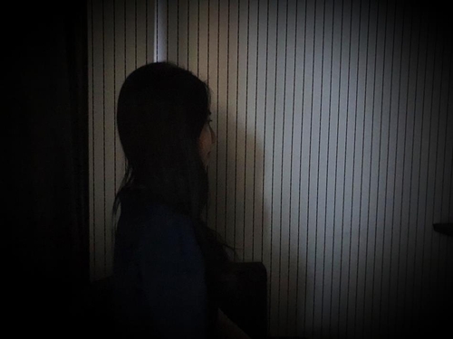 보듬 이미지