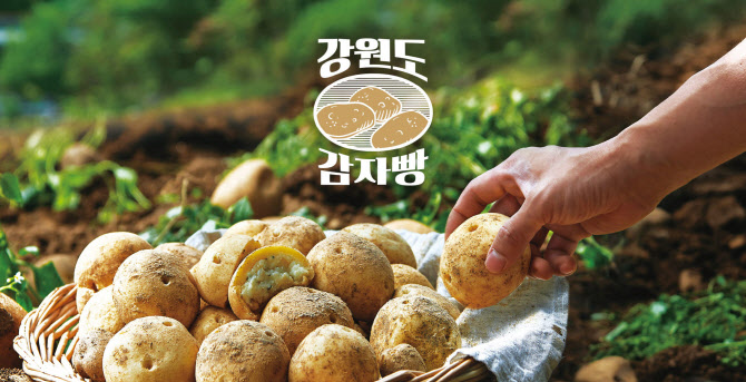 파리바게뜨춘천 이미지