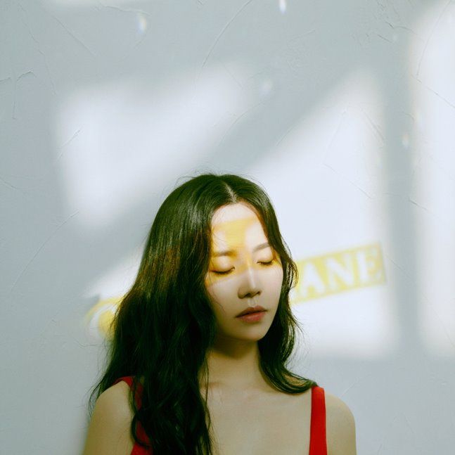 프롬케이 이미지