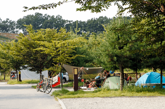 대전 대청호로하스캠핑장. 대청호가 품은 청정 캠핑장으로 다양한 산책 코스를 갖췄다. [사진 한국관광공사]
