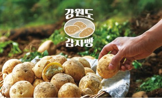 파리바게뜨춘천 이미지