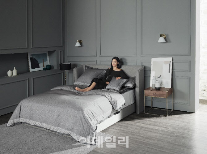 알레르망 이미지