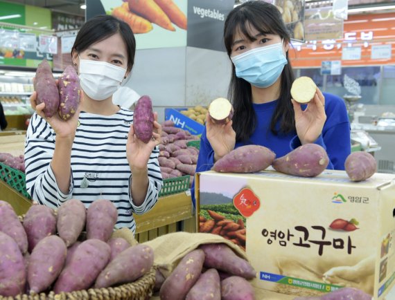 영암마트 이미지