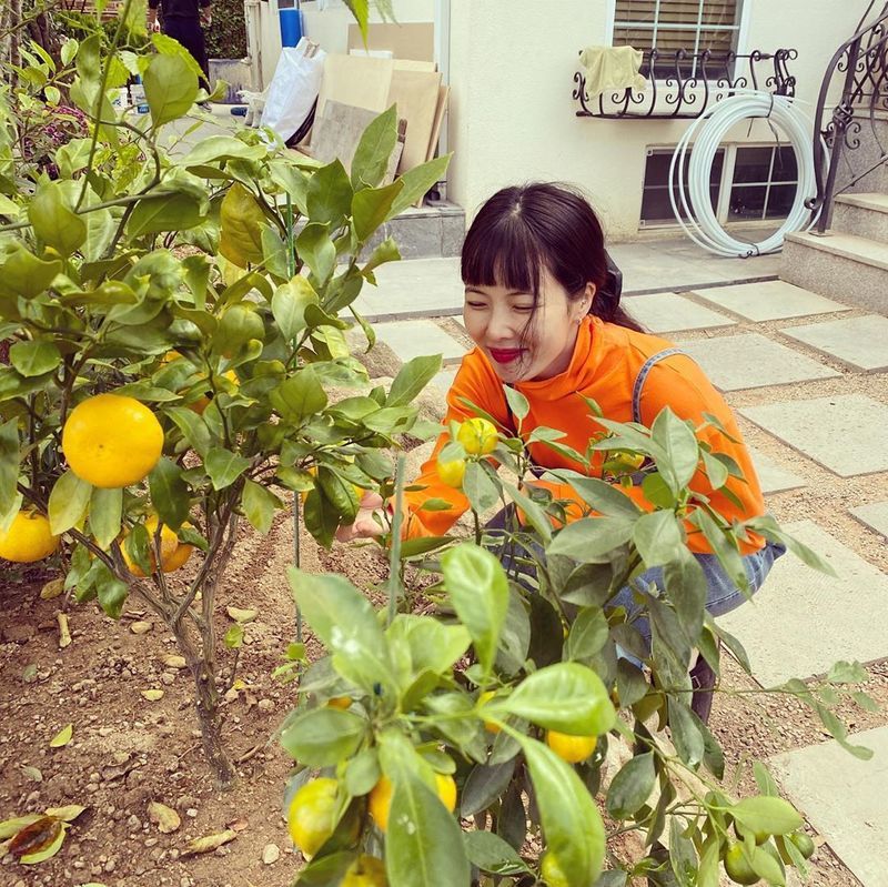 Hyuna, human tangerine is unbelievable ♥Im going to be halfway there twice. Singer Hyuna showed off her fresh beauty.Hyuna posted several photos to her Instagram on October 14.The photo shows Hyuna picking tangerines. Hyuna added a touch of freshness with an orange turtleneck T-shirt. Hyunas vanishing small face catches the eye.Hyuna is in a public relationship with Singer Dunn