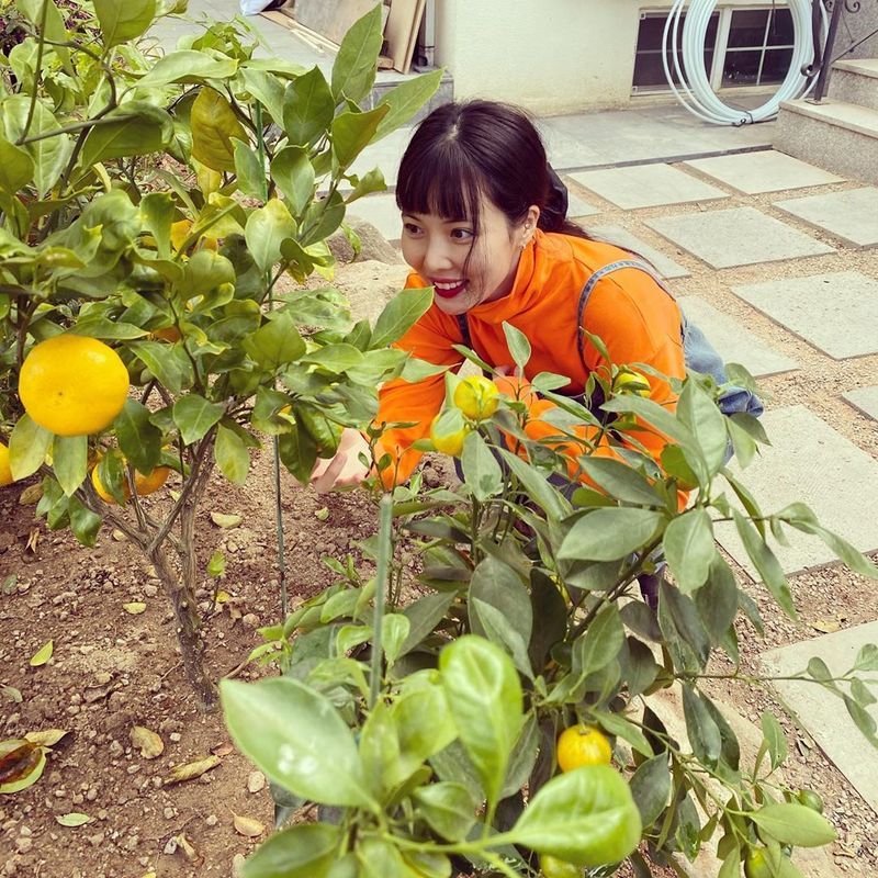 Hyuna, human tangerine is unbelievable ♥Im going to be halfway there twice. Singer Hyuna showed off her fresh beauty.Hyuna posted several photos to her Instagram on October 14.The photo shows Hyuna picking tangerines. Hyuna added a touch of freshness with an orange turtleneck T-shirt. Hyunas vanishing small face catches the eye.Hyuna is in a public relationship with Singer Dunn