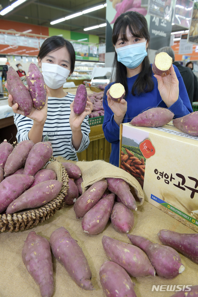 영암마트 이미지