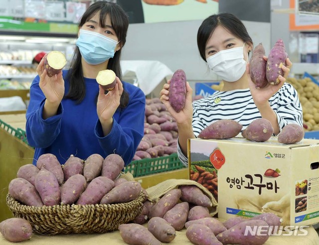 황토유통 이미지