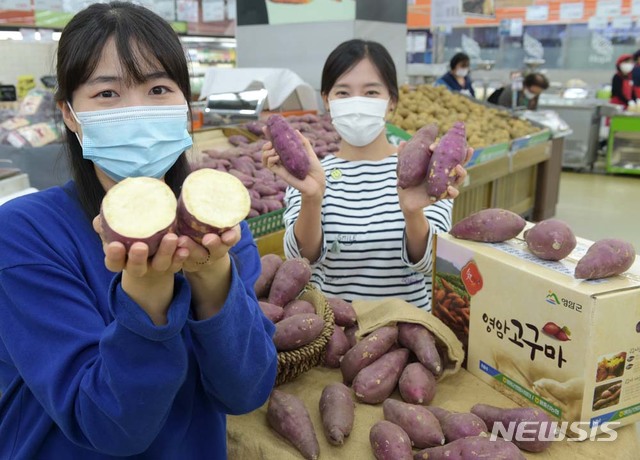 황토유통 이미지