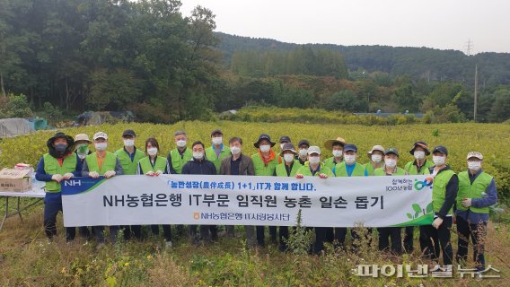 농협은행 IT부문 이미지