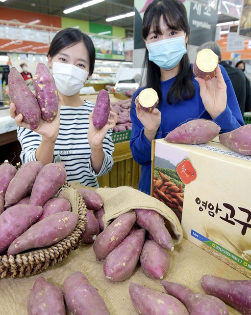 황토유통 이미지