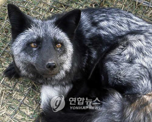 (주)사이팔 이미지