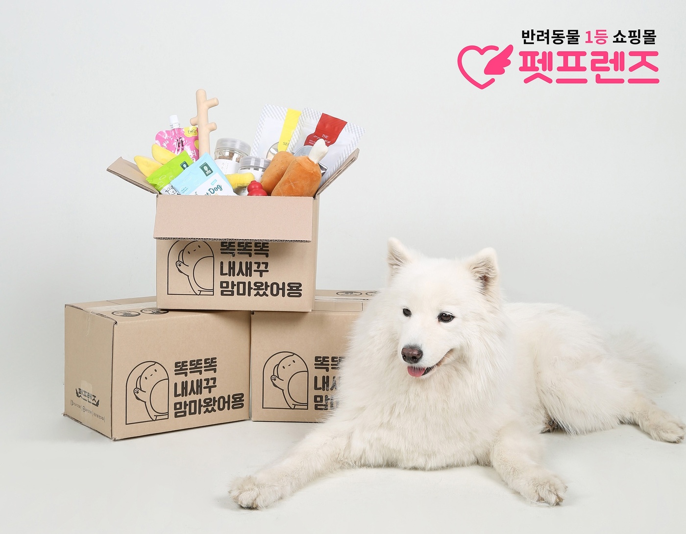 펫프렌즈 이미지
