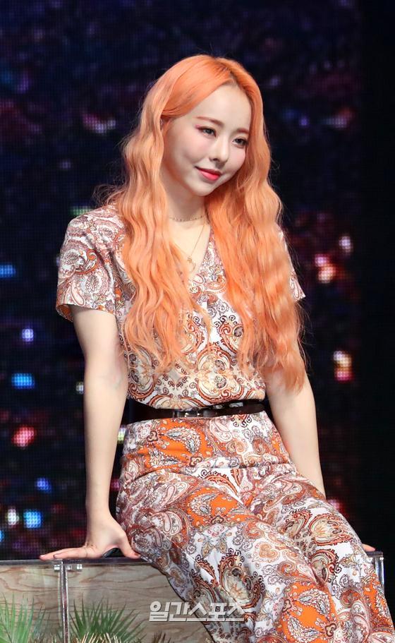 비비드레스 이미지