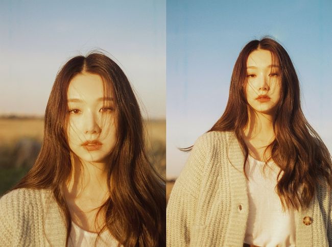케이시 이미지