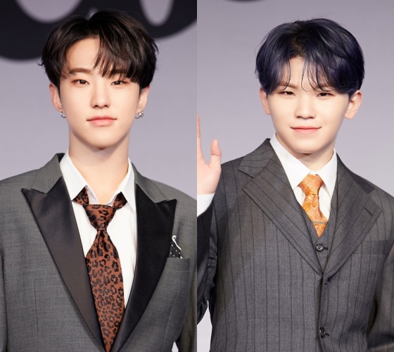 호시 이미지