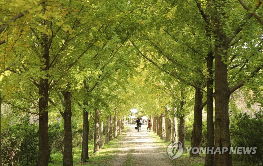 물드네 이미지