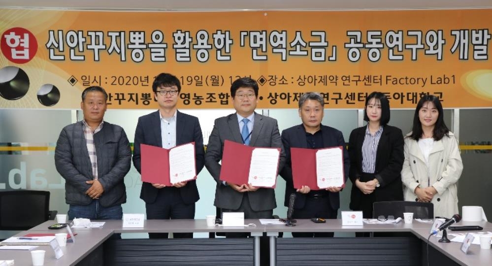 신안꾸지뽕나무영농조합법인 이미지
