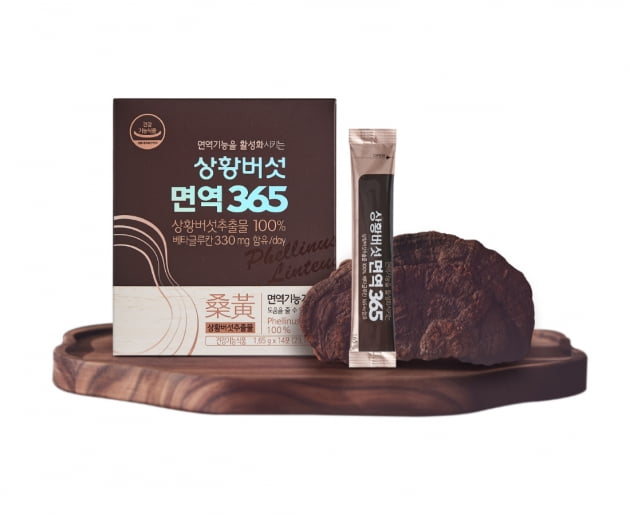 버섯과면역 이미지