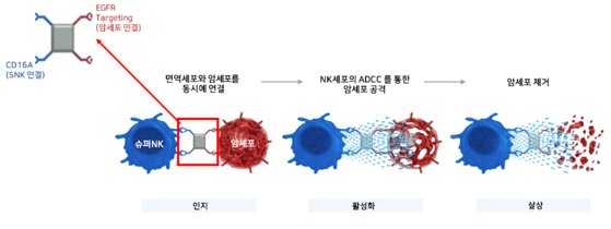 NK기술 이미지