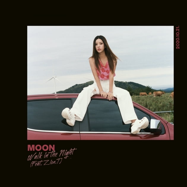 문MOON 이미지