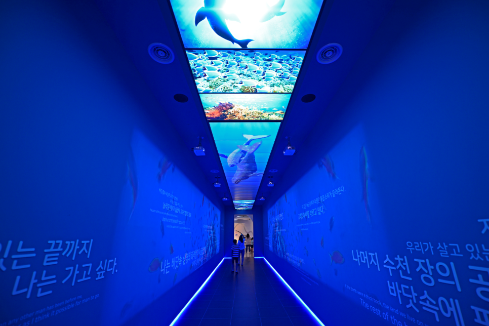 해중시스템 이미지