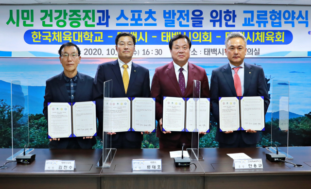 태백스포츠 이미지