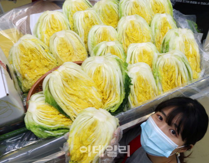 대관령원예농협 하나로마트 이미지