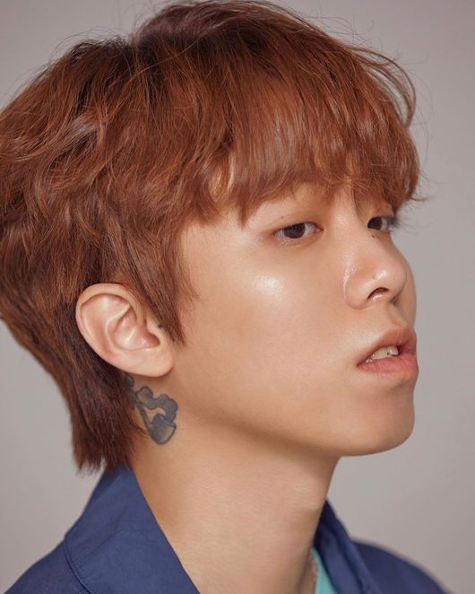 더스완 이미지