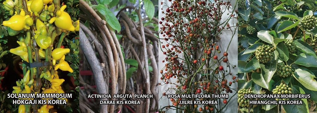 (주)넝쿨 이미지