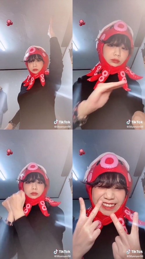 문어의꿈 이미지