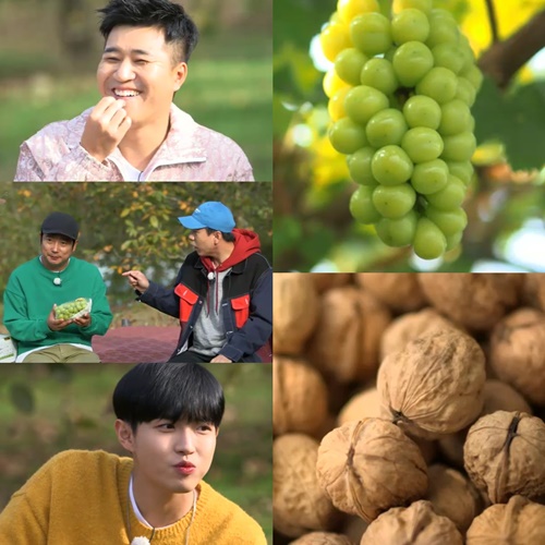 장날 이미지